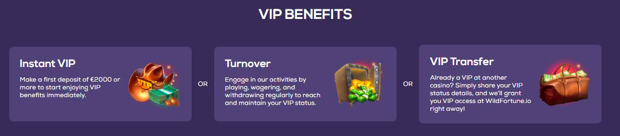 VIP Wild Fortune Casino